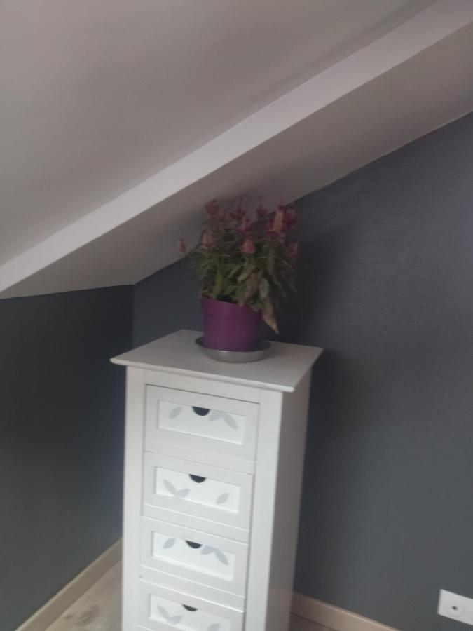 Chambre Pinky Elisabeth Proche Paris Apartment Stains Exterior photo